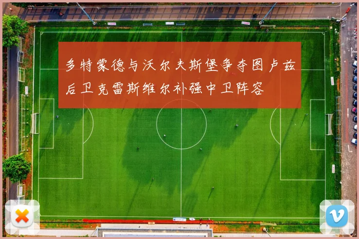 多特蒙德与沃尔夫斯堡争夺图卢兹后卫克雷斯维尔补强中卫阵容